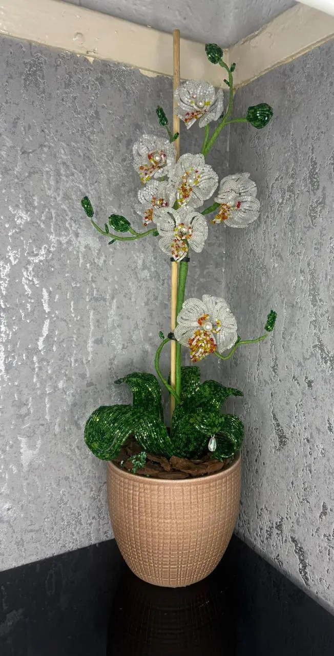 Large Orchid – White