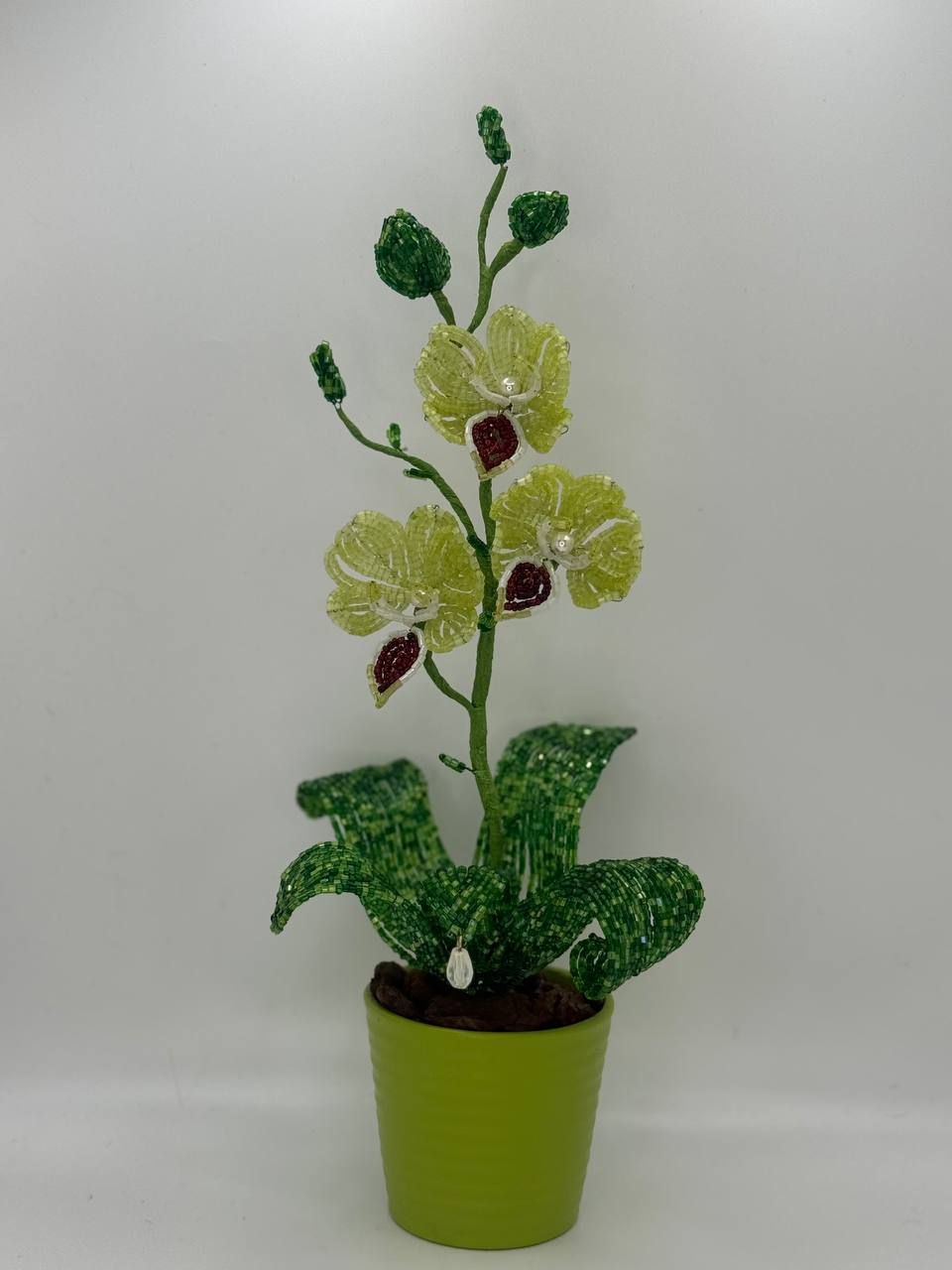 Orchid Small – Green
