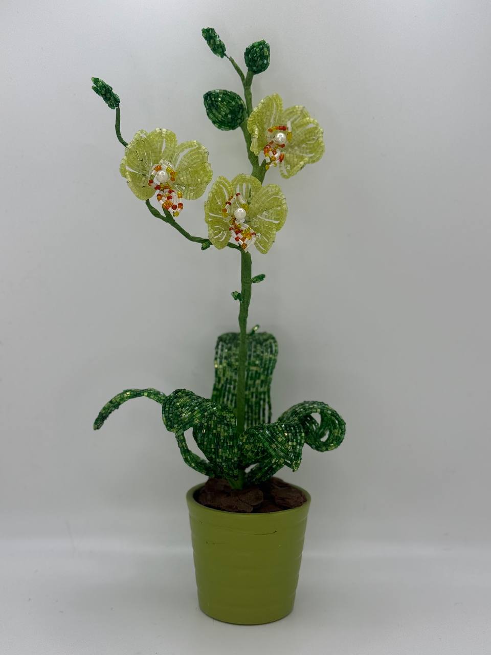 Orchid Small – Green 2