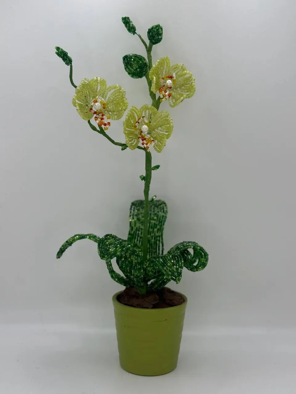Orchid Small – Green 2