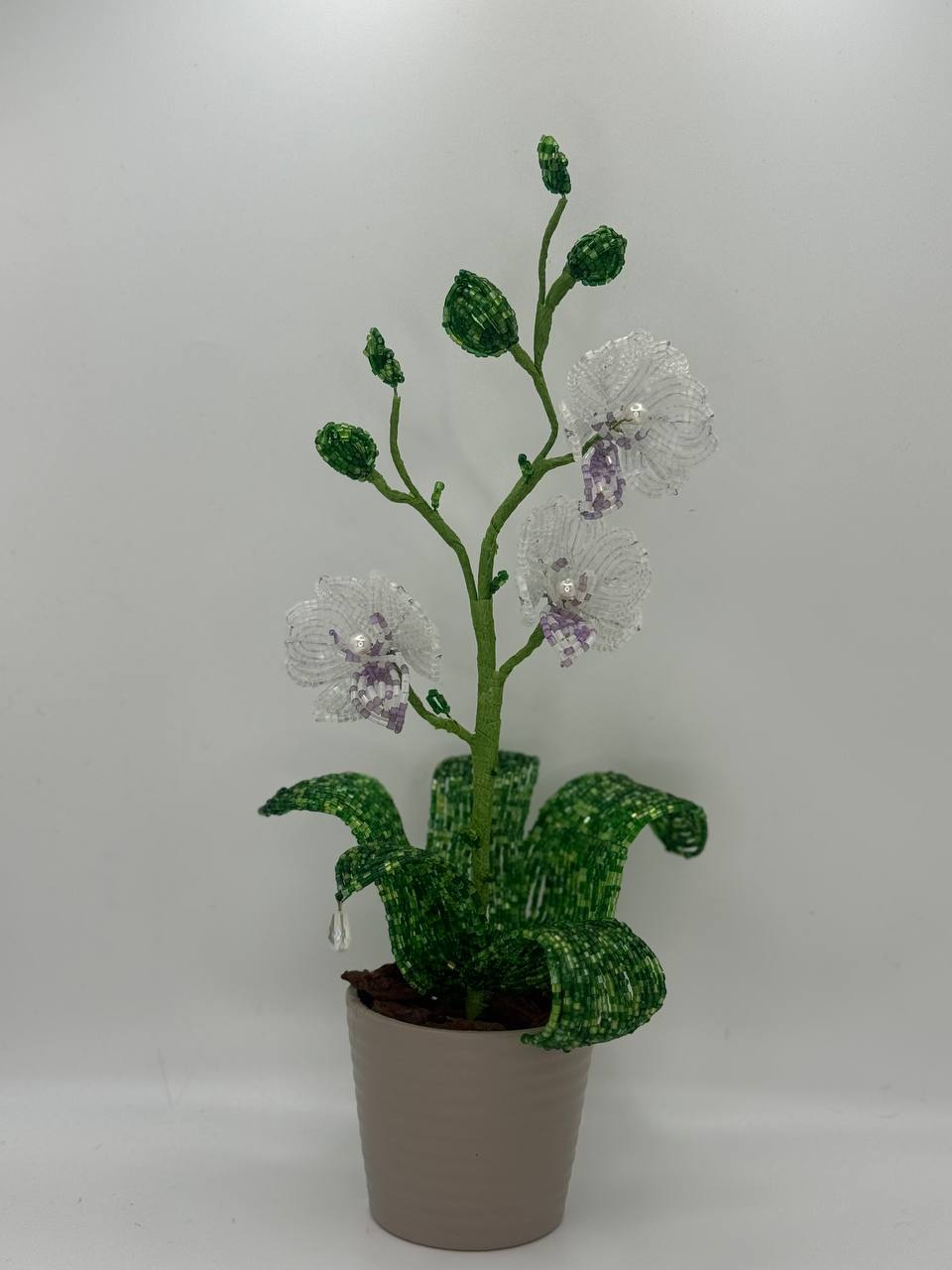 Orchid Small – Grey