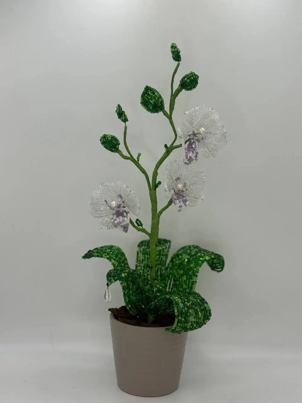 Orchid Small – Grey