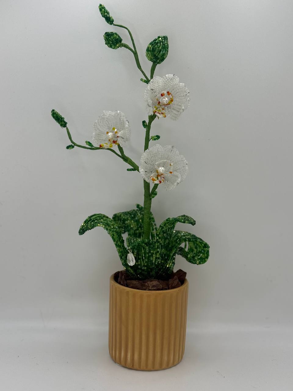 Orchid Small – Orange