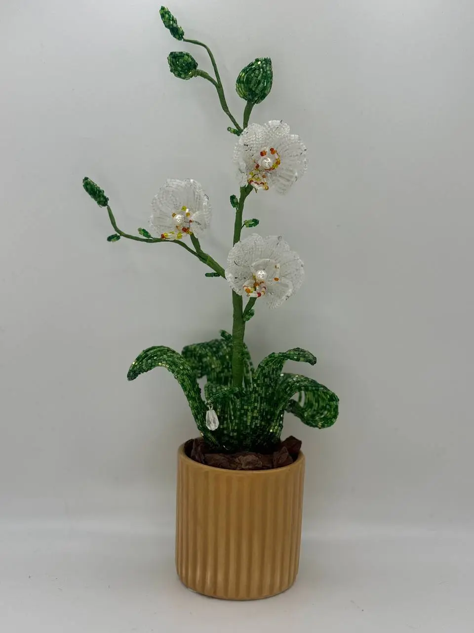 Orchid Small – Orange