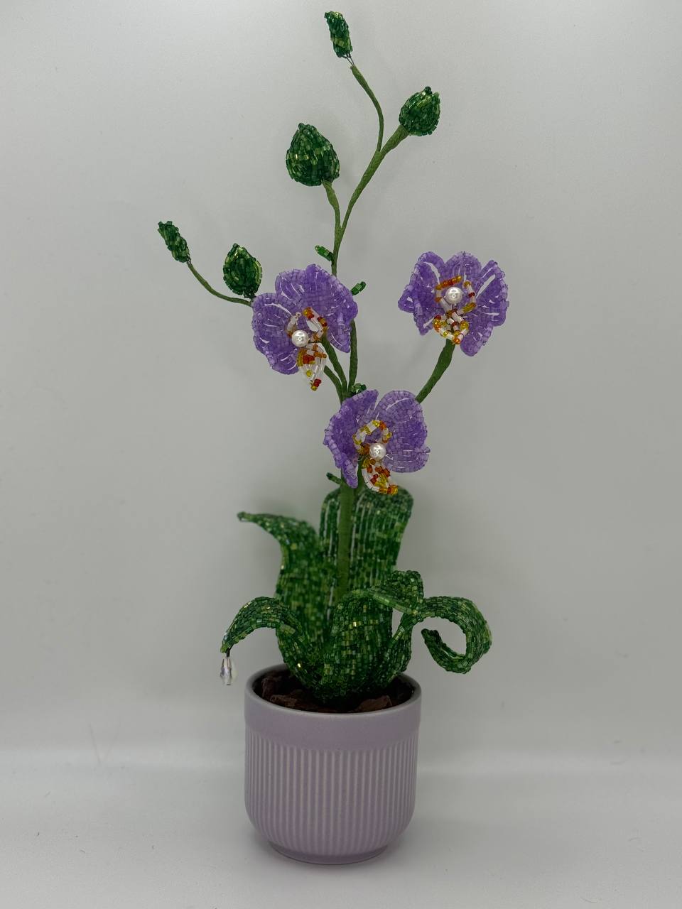 Orchid Small – Pink