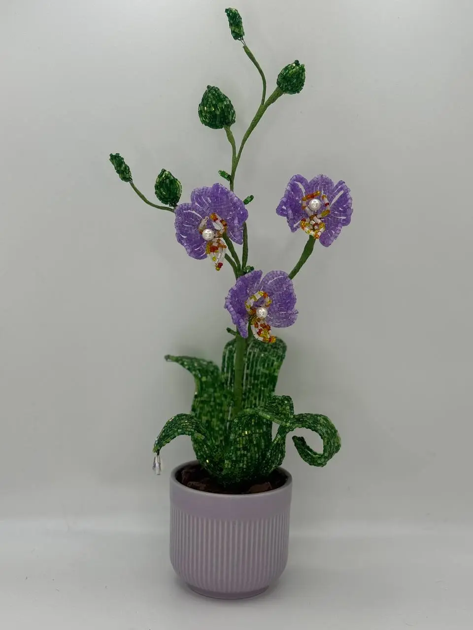 Orchid Small – Pink
