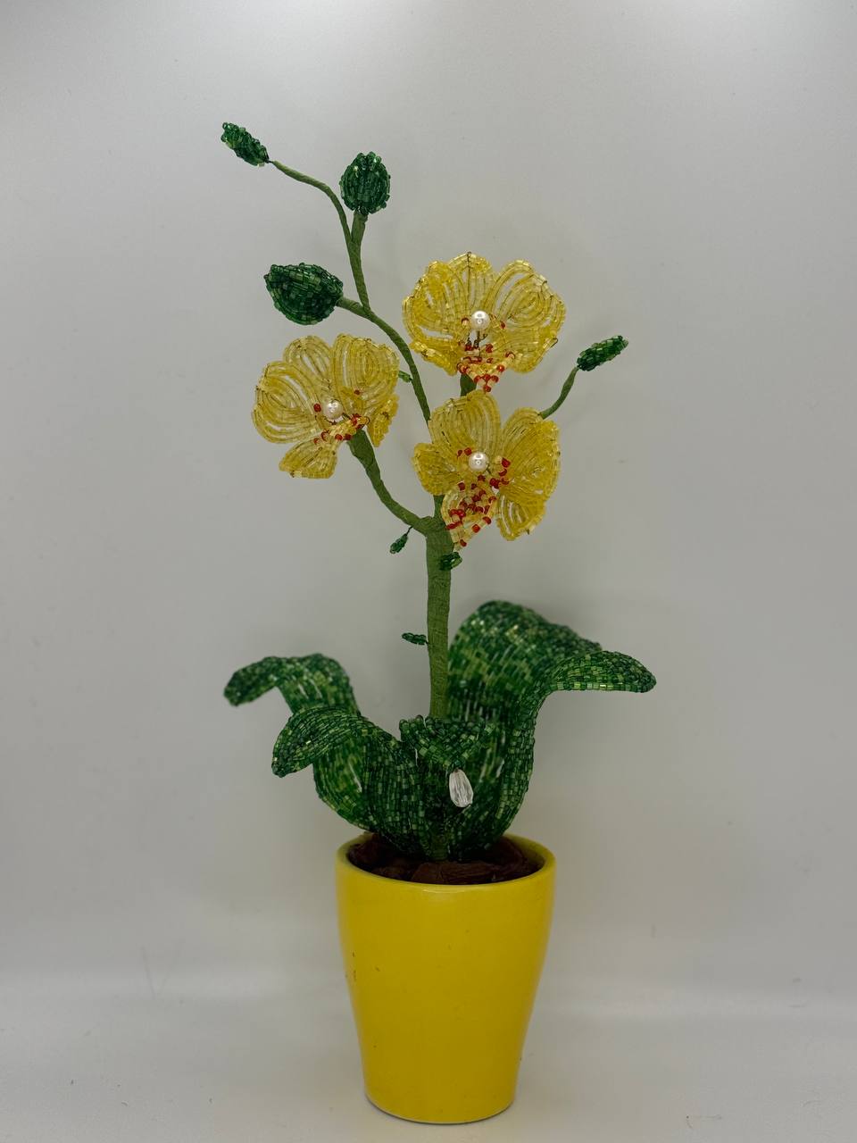 Orchid Small – Yellow