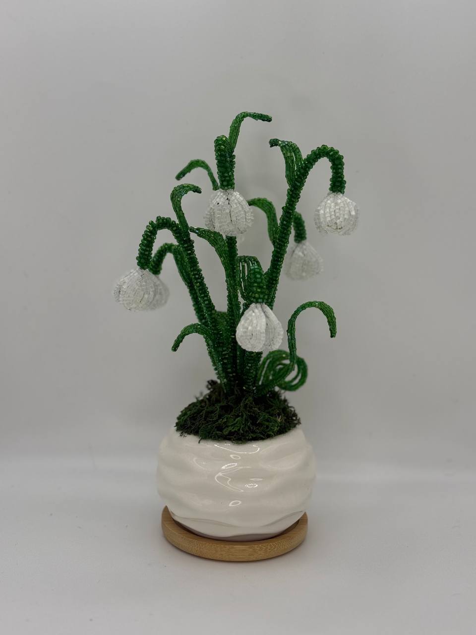 Snowdrop – Classic White