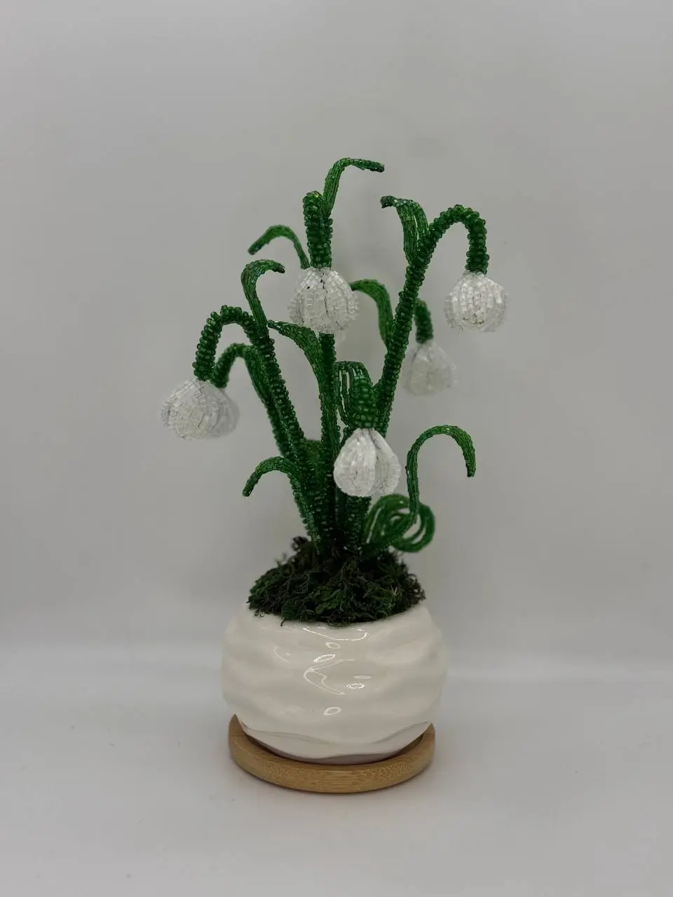 Snowdrop – Classic White